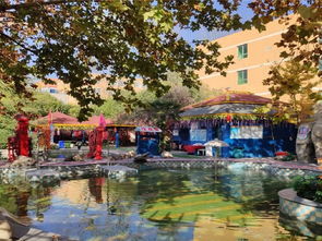 西安秦龍溫泉游玩全攻略 門票價格、地址、溫泉體驗與貼心貼士