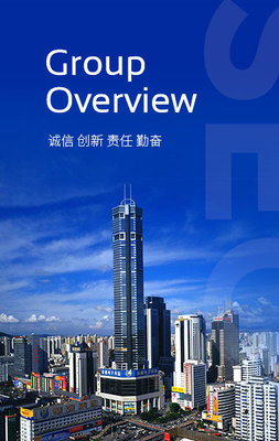 深圳投資管理集團 引領灣區(qū)發(fā)展的國有資本投資運營平臺